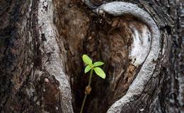 Clean up your hard&nbsp;disk